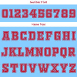 Custom Light Blue White Reversible Basketball Suit for Adults and Kids Personalized Jersey