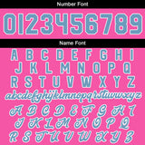 Custom Pink Light Blue Varsity Jackets for Men Women Youth Personalized Letterman Jackets