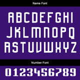 Custom Purple Silver Uniform Jersey Kids Adults Personalized Set Jersey Shirt