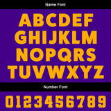 Custom White Purple Uniform Jersey Kids Adults Personalized Set Jersey Shirt