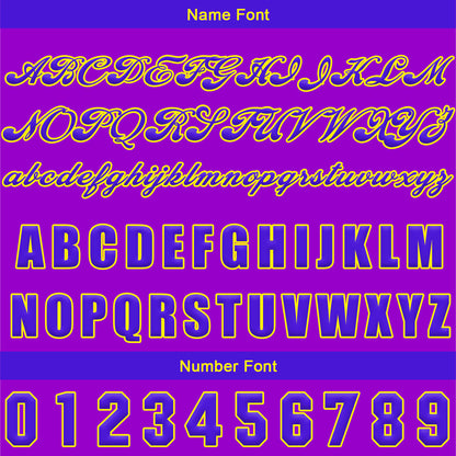 Custom Purple Blue Button Down Baseball Jersey for Men Women Adult Youth Print Name Number Logo
